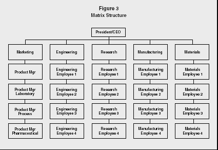 Ford organizational structure type #5