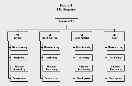 Ford organizational structure type #6